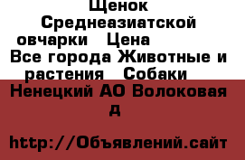 Щенок Среднеазиатской овчарки › Цена ­ 35 000 - Все города Животные и растения » Собаки   . Ненецкий АО,Волоковая д.